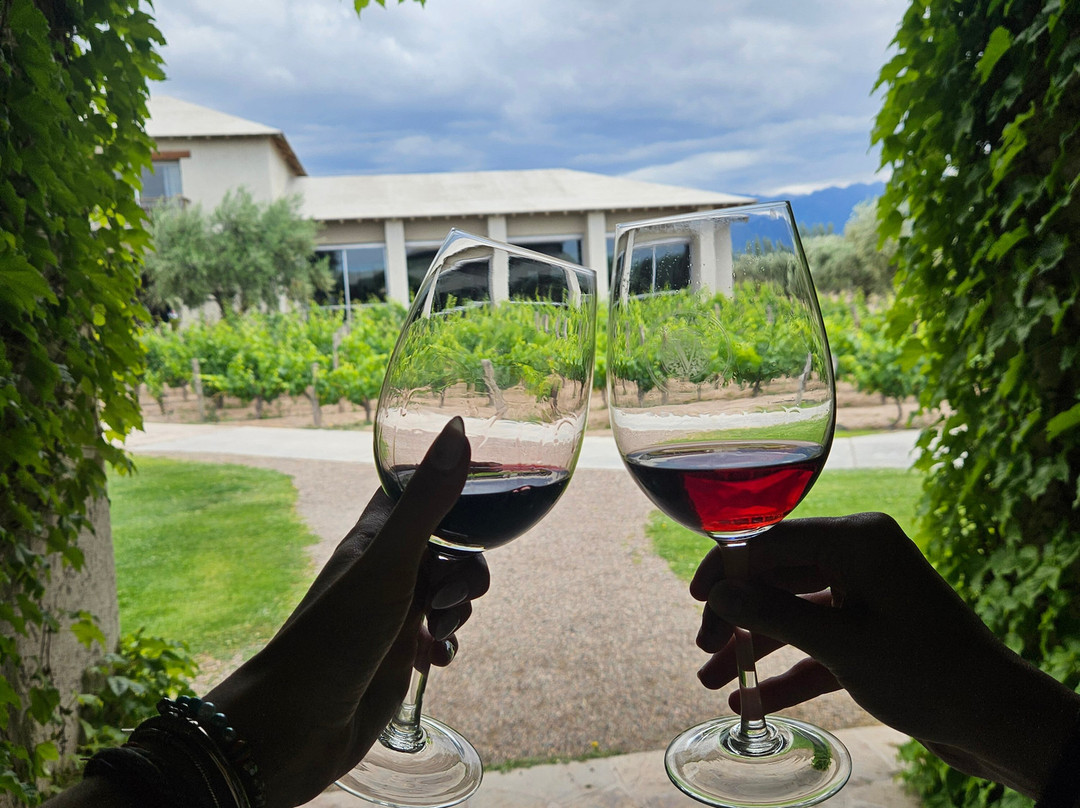 Bodega Vistalba-路冉得库约必去景点