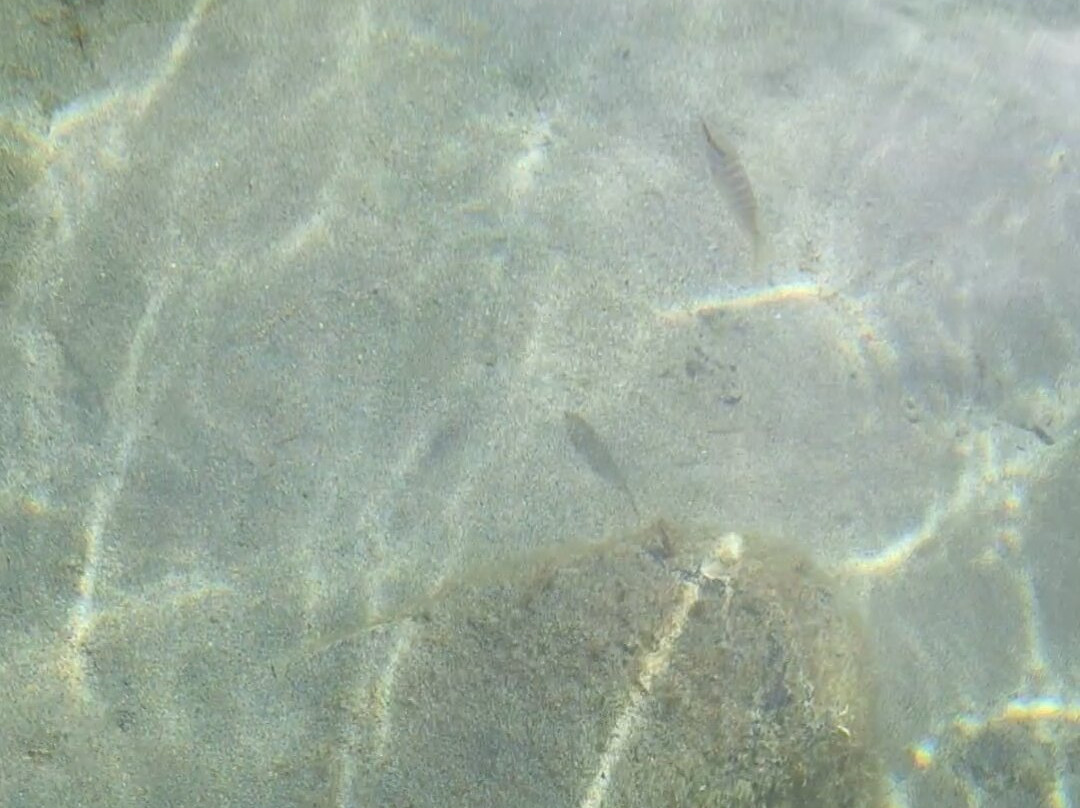 BushTribe Eco Adventures-Christiansted必去景点