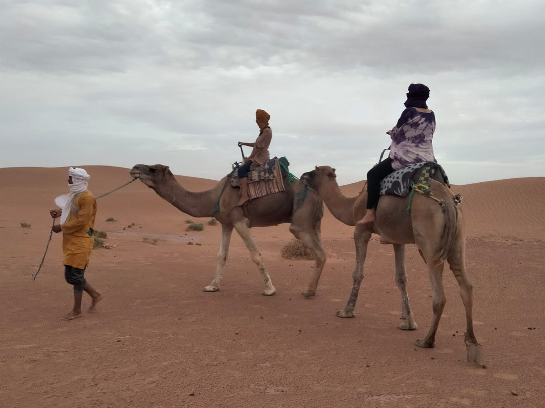 Desert Foum Zguid-Foum Zguid必去景点