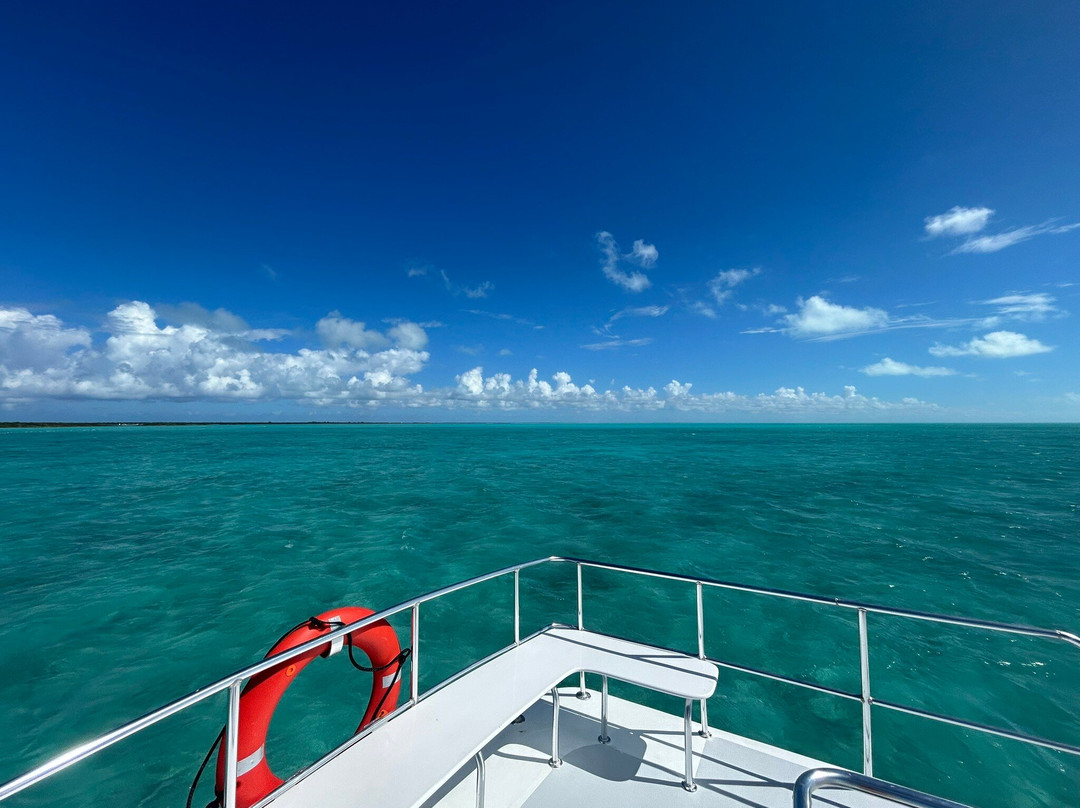 Grace Bay Adventures-格雷斯湾必去景点