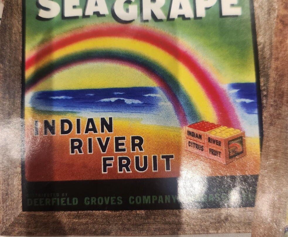 Indian River Citrus Museum-维罗海滩必去景点