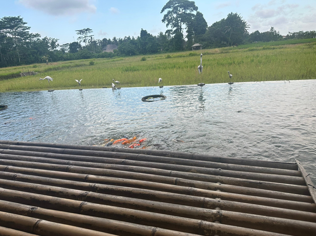 Deka Bali Travel-克隆孔必去景点