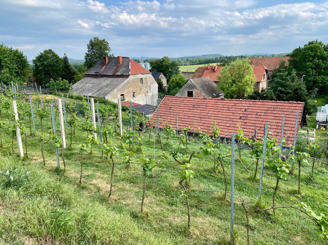 More4u & Poland Tailored Tours4u-波力斯拉韦兹必去景点