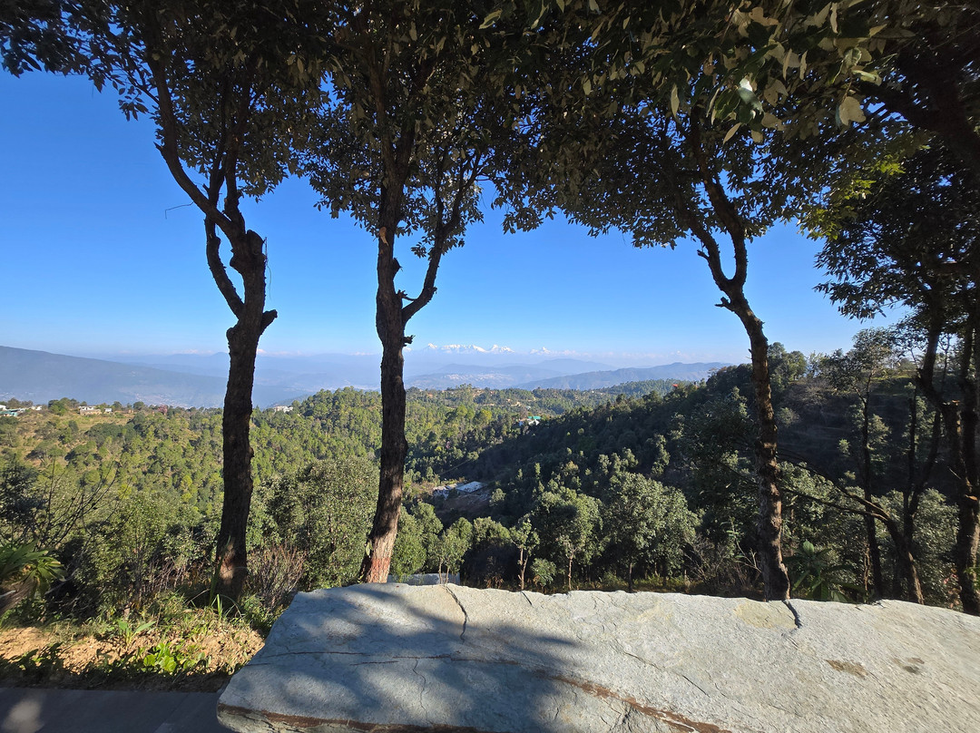 Dharohar Retreat主图