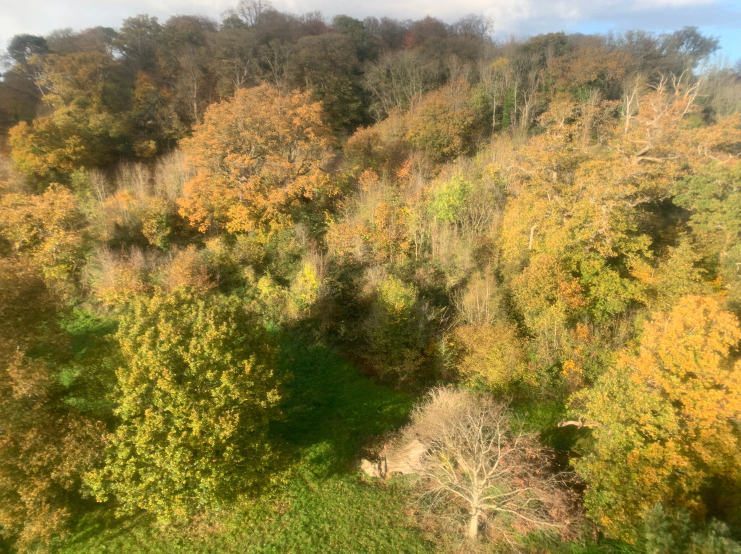 First Flight-布里斯托尔必去景点