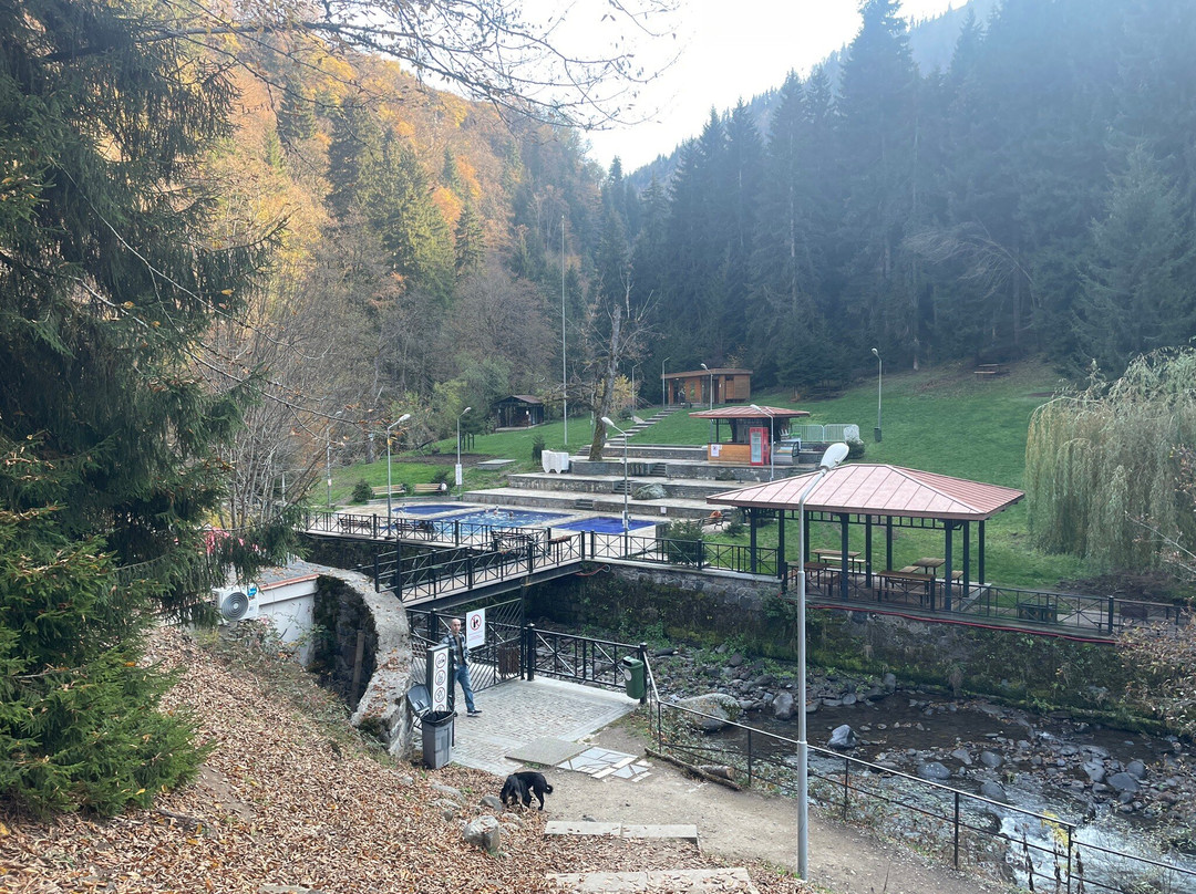 Borjomi Sulfur Pools-Borjomi必去景点