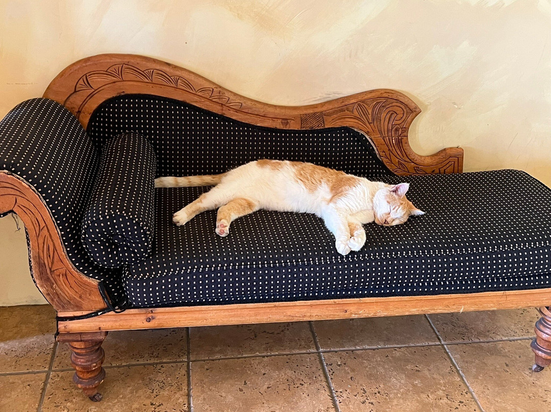 Karmere Vineyard and Winery-Plymouth必去景点