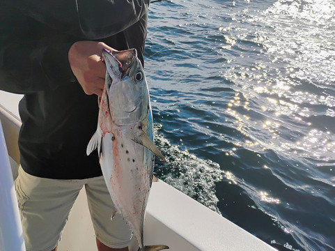 Sea 4 Ventures
