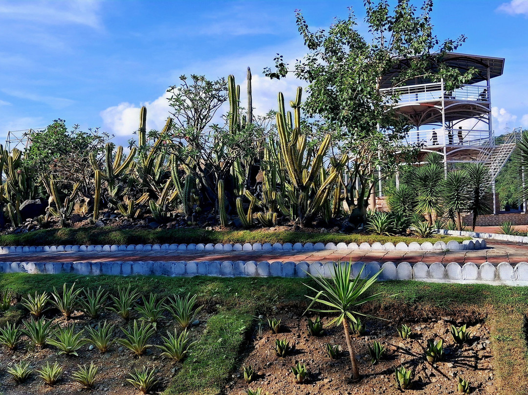 Cactus Garden-Kevadia必去景点