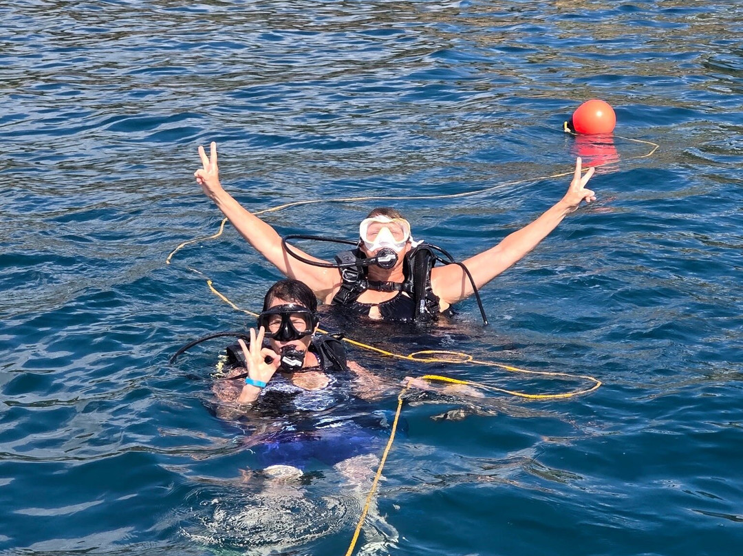 JJ Divers St Thomas-夏洛特阿马利亚必去景点