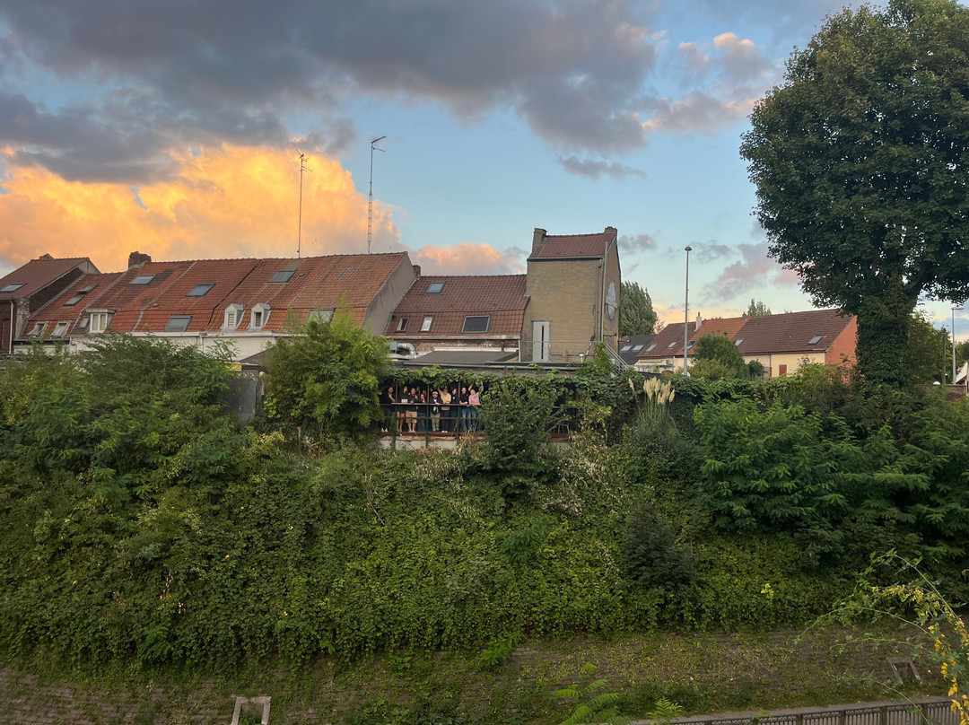 图尔宽餐馆和美食-Montuno