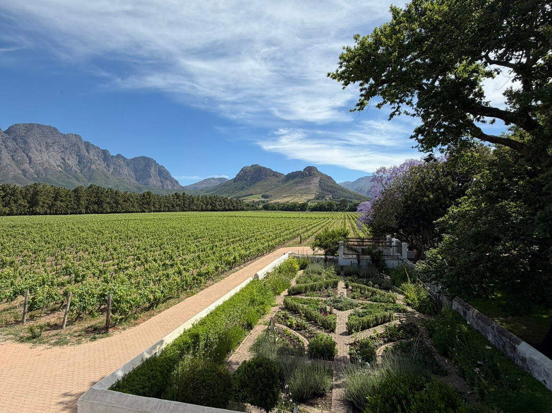 Franschhoek Wine Tram-法兰舒克必去景点