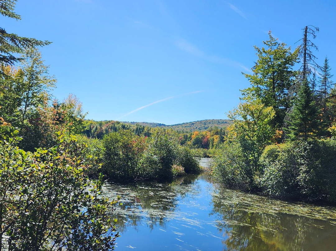 Les Marais du Nord-Stoneham-et-Tewkesbury必去景点