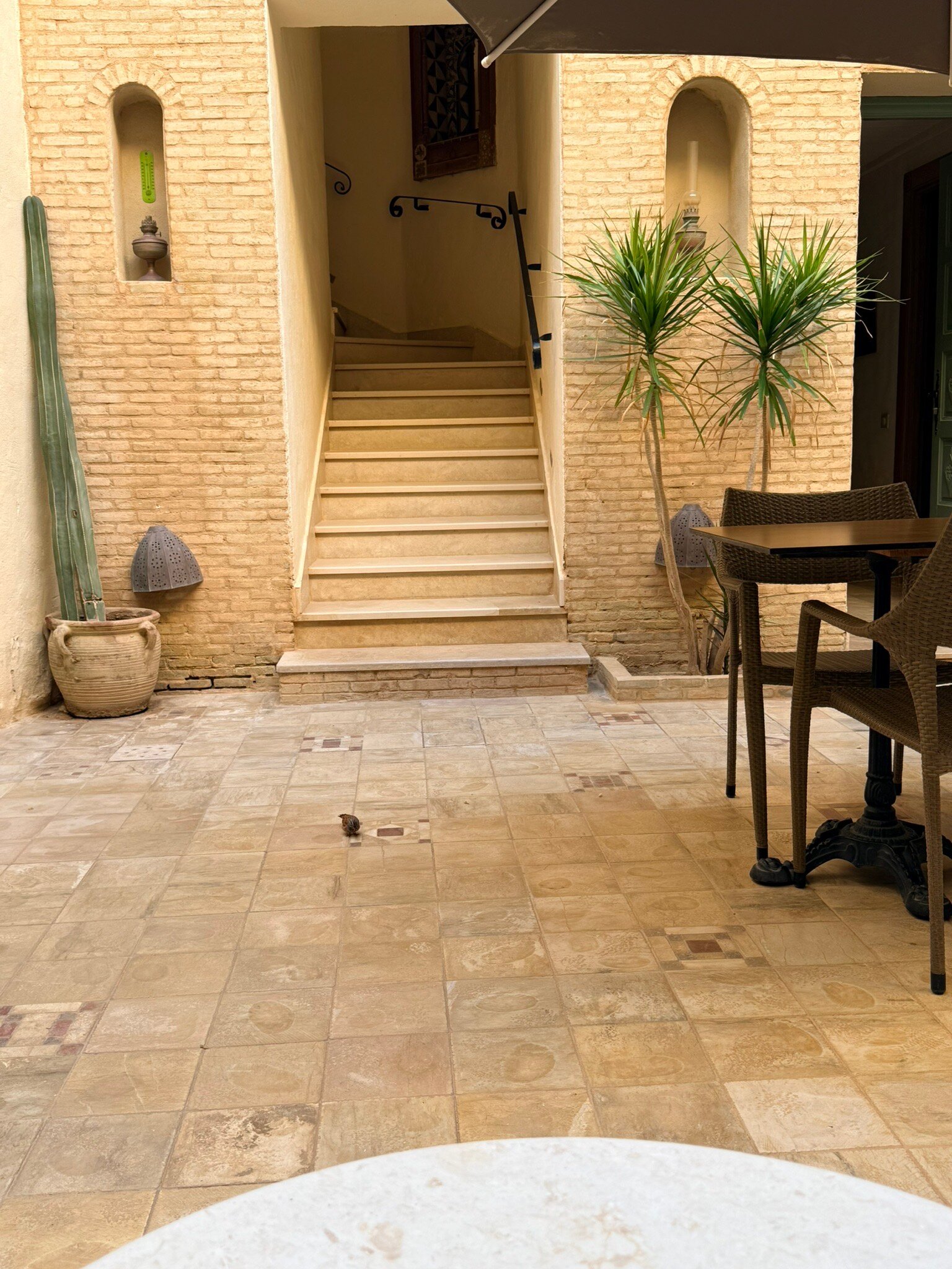 Dar Saida Beya-官方