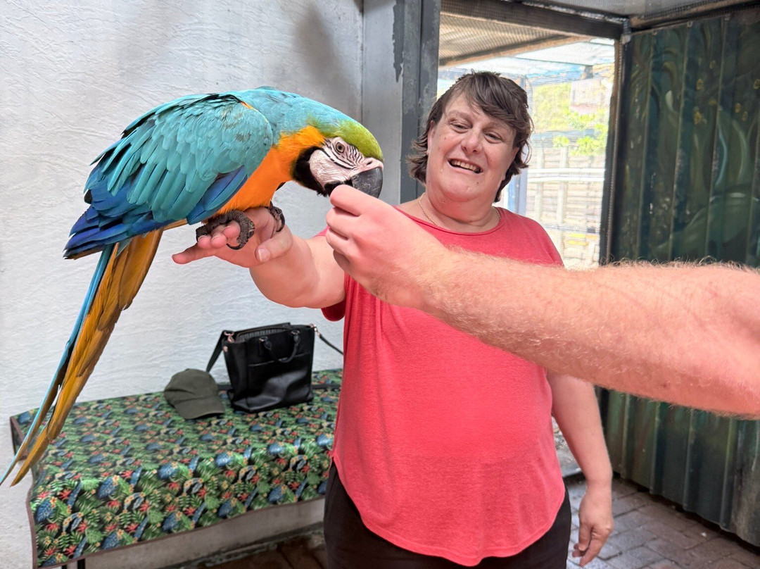 Shark And Ray Rescue Centre-Bobs Farm必去景点