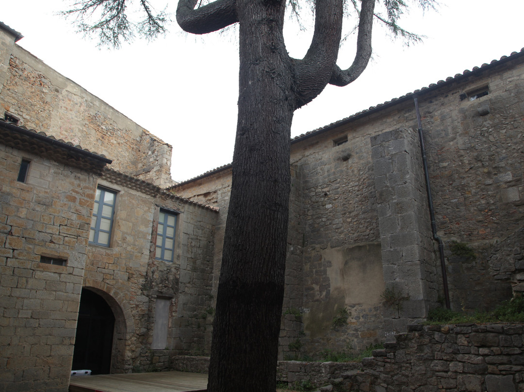 Abbaye Médiévale De Lagrasse, Centre Culturel Les Arts De Lire-Lagrasse必去景点