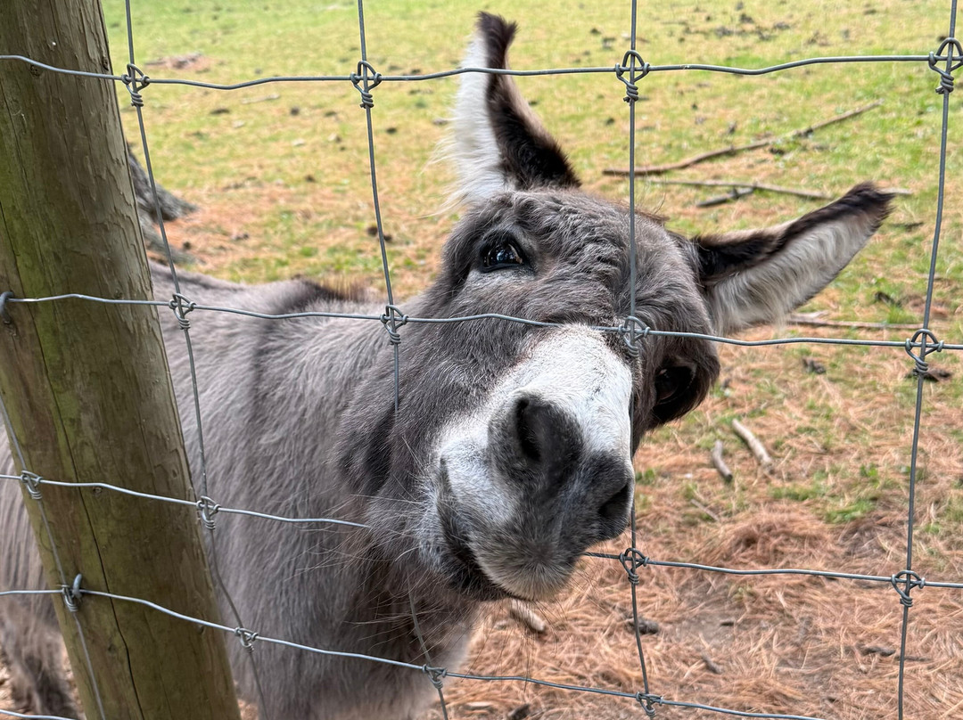 Shalom Wildlife Zoo-West Bend必去景点
