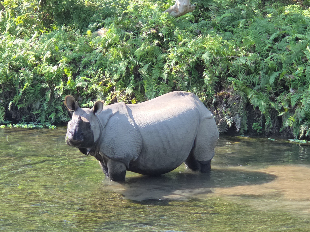 Soaltee Westend Resort Chitwan主图