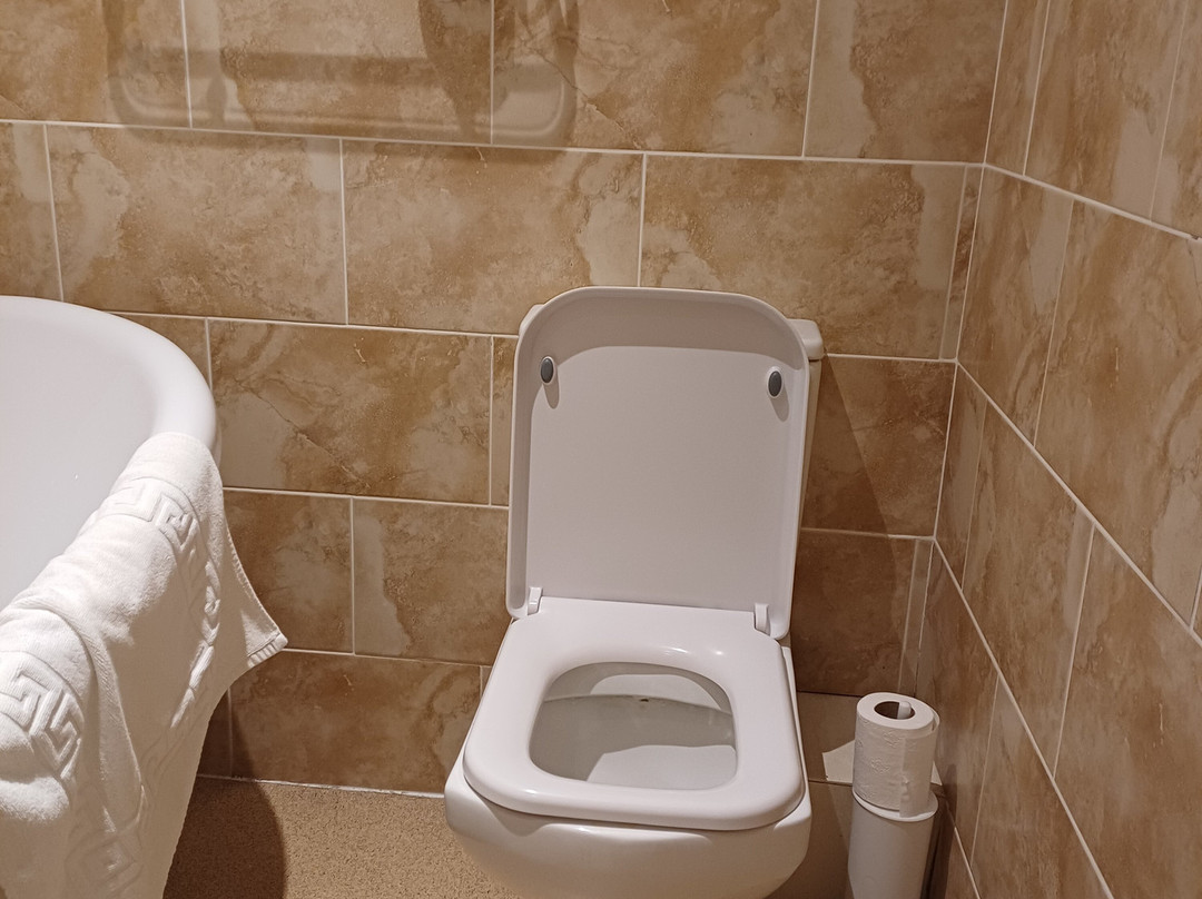 The Old Stone Trough主图