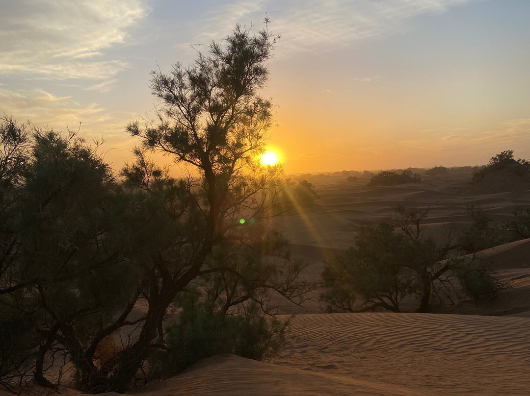 Desert Maroc Tours - Day Tours-扎古拉必去景点