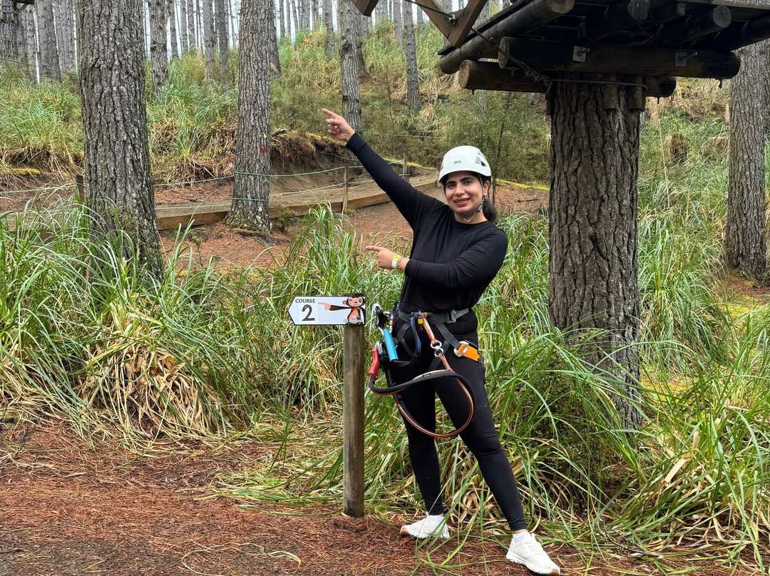 Tree Adventures-伍德山必去景点