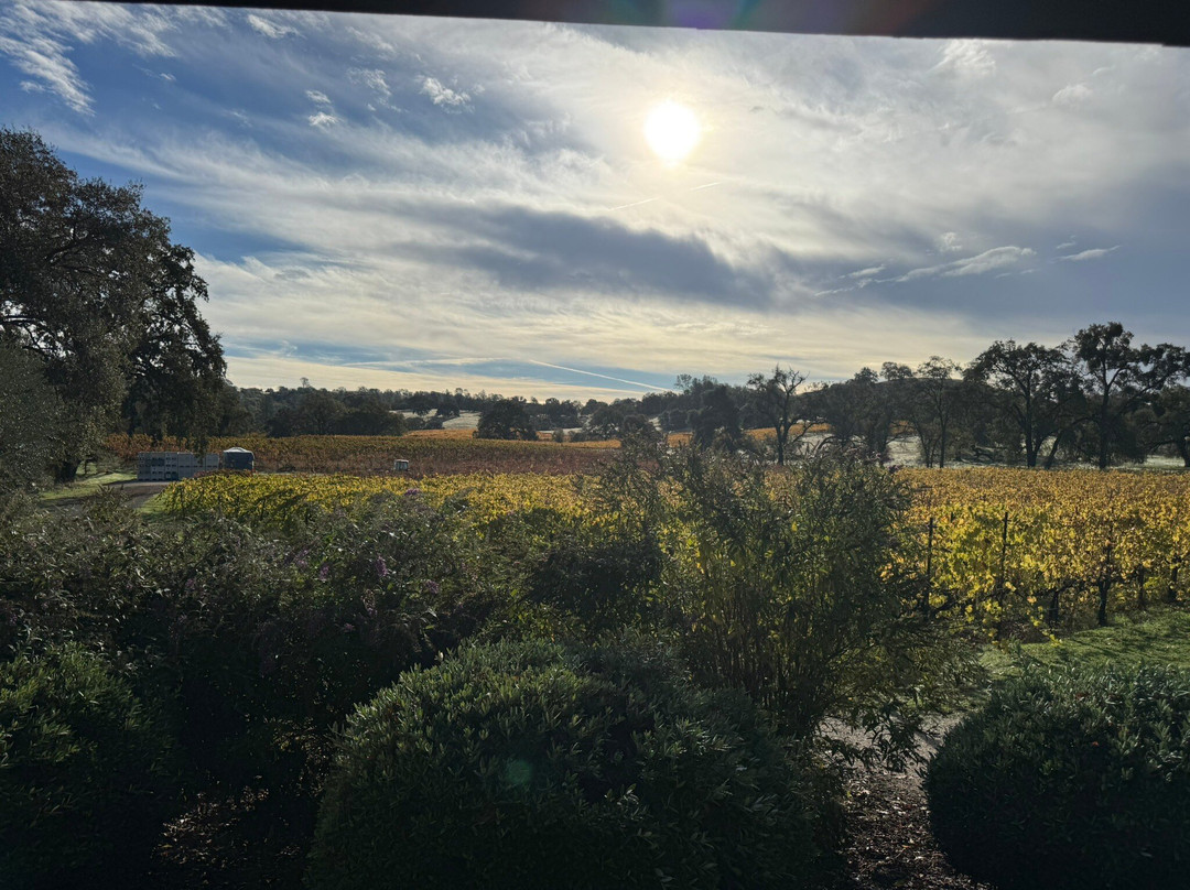 Grand Reserve Inn主图