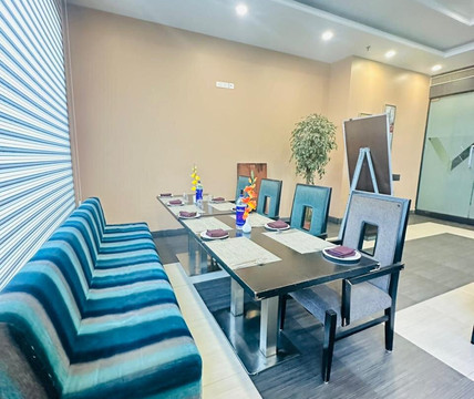 The Radiant Swan主图