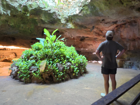 Riviera Maya Private Tours-图伦必去景点