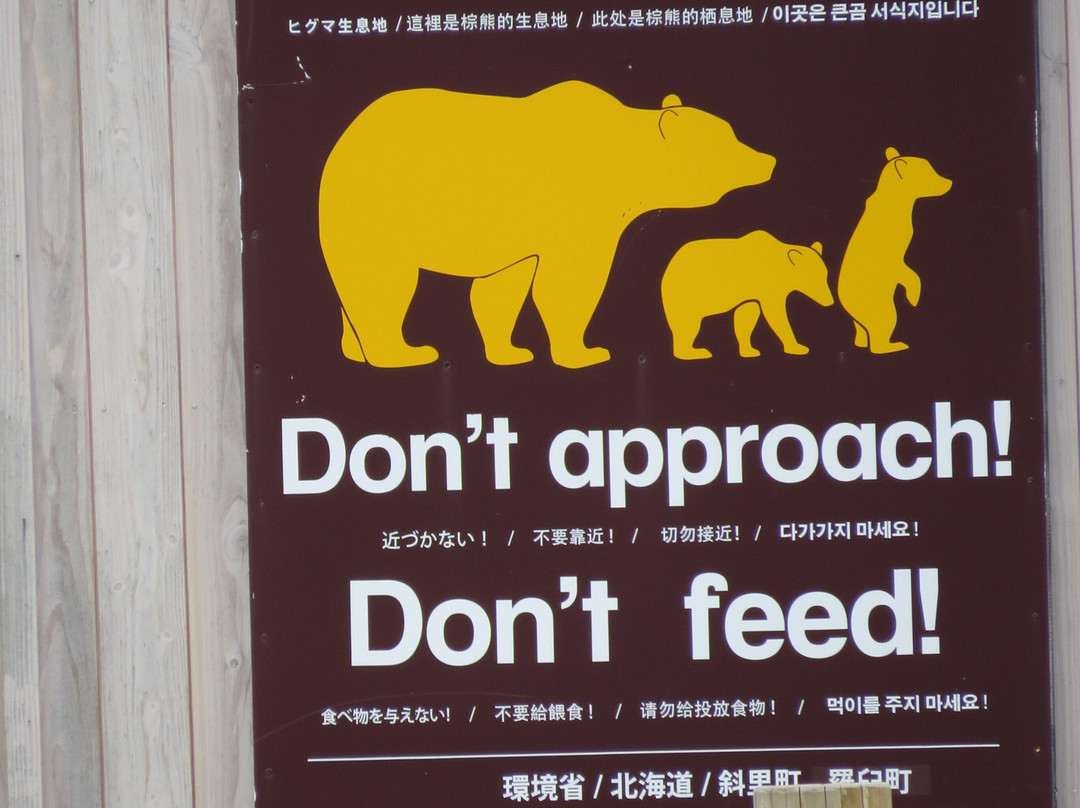 知床山卡-北海道必去景点