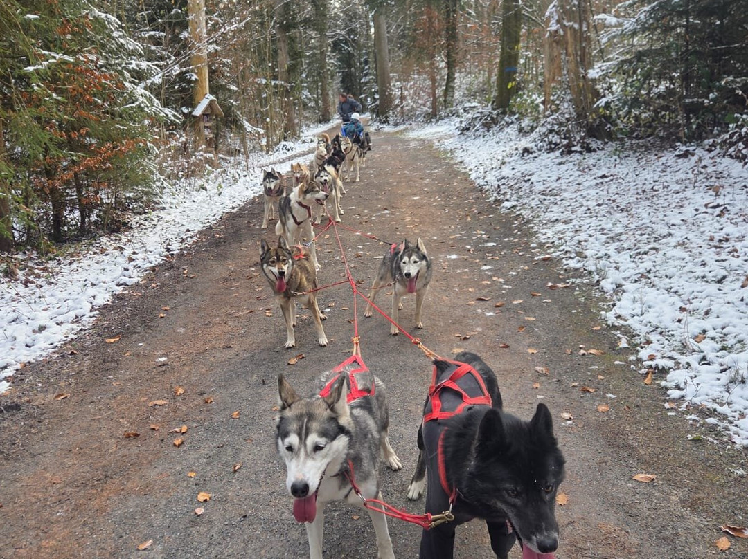 Fischer Adventures Day Tours-圣加仑必去景点