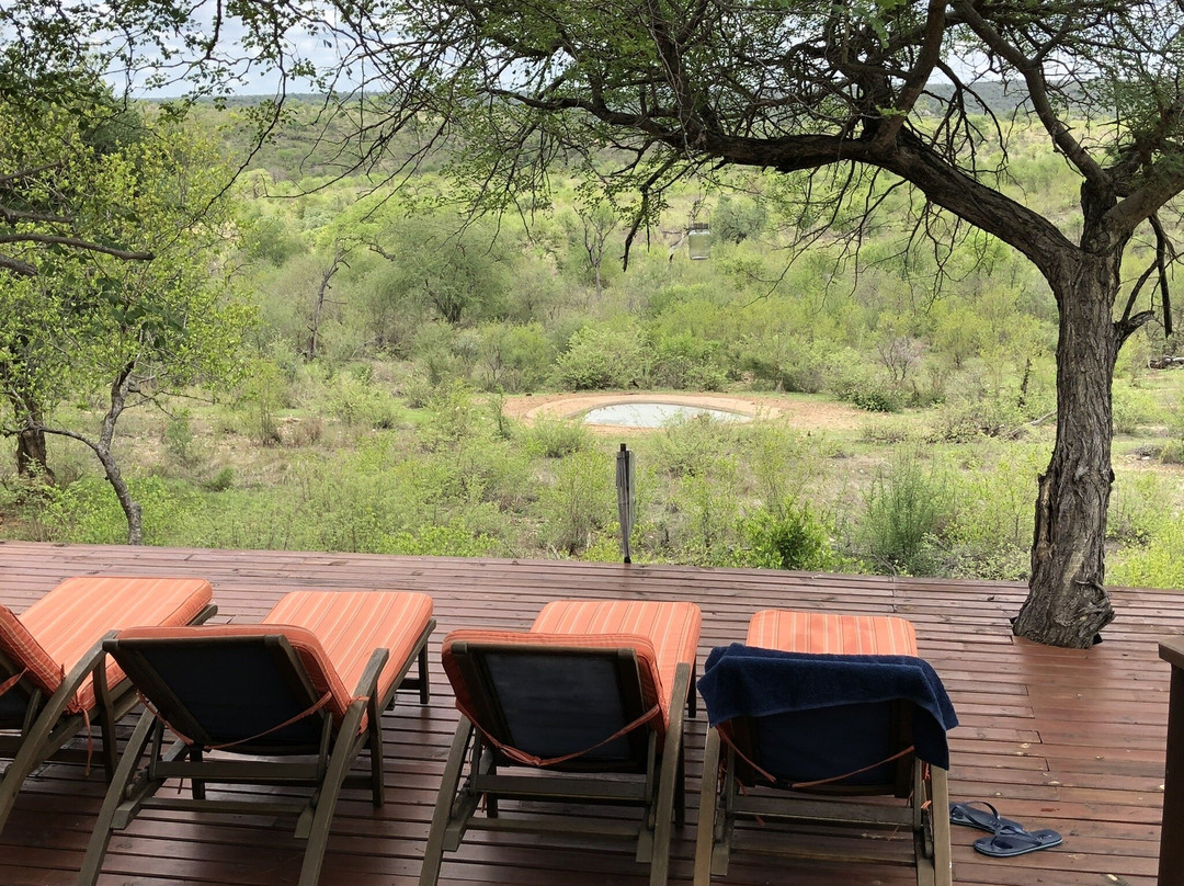 Casart Game Lodge主图