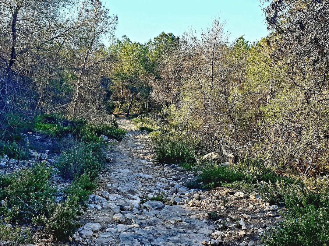 Sierra de Hurchillo-Hurchillo必去景点