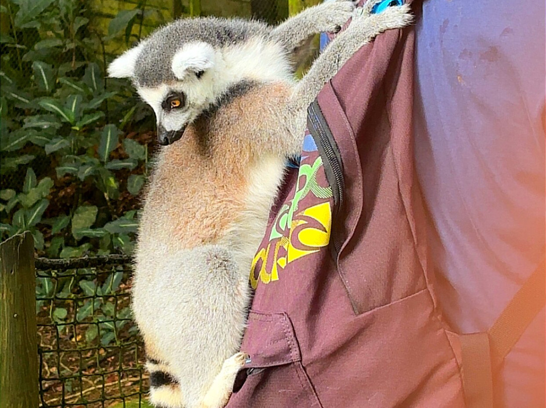 Zoo De Guadeloupe Au Parc Des Mamelles-Bouillante必去景点