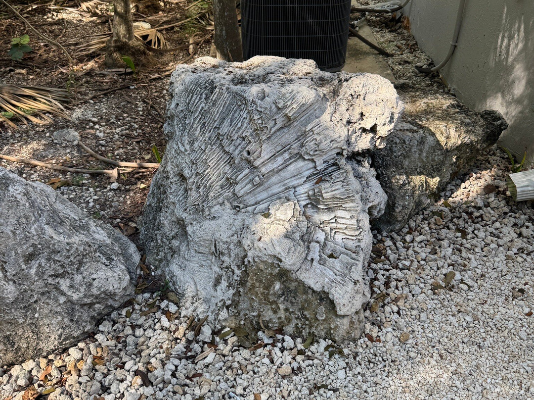 Windley Key Fossil Reef Geological State Park-伊斯拉摩拉达必去景点