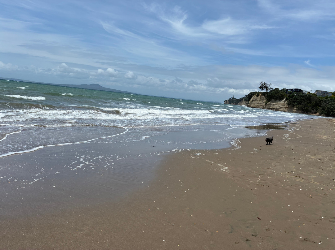 Browns Bay Beach-布朗斯湾必去景点