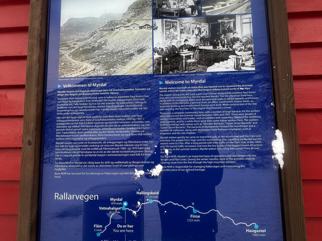 Myrdal Station-米达尔必去景点