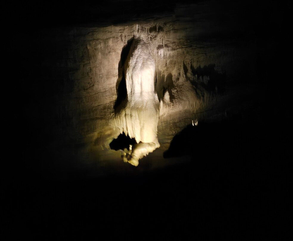 Footwhistle Glowworm Cave-怀托摩洞穴必去景点