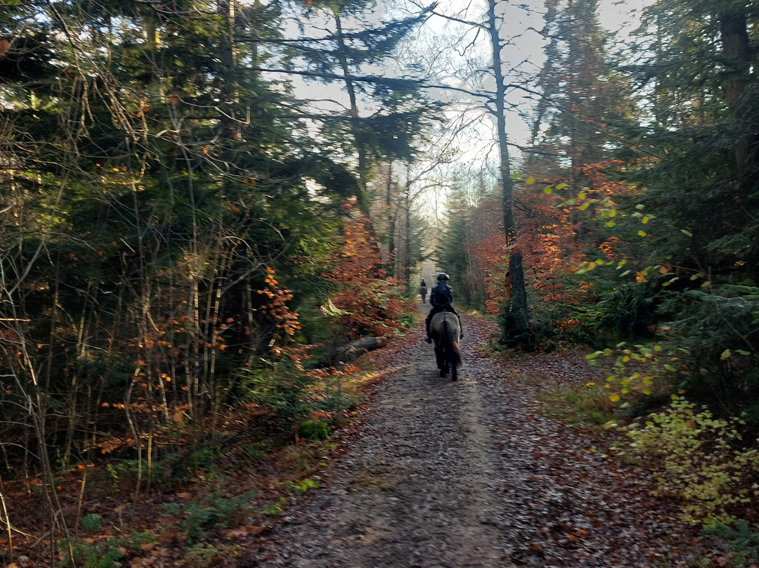 CPH:RIDE-德拉厄必去景点