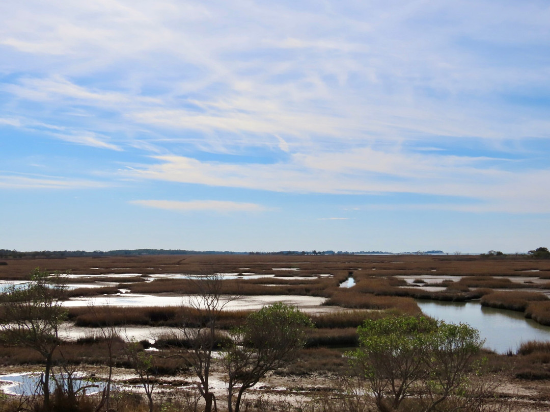 Assateague State Park-Berlin必去景点