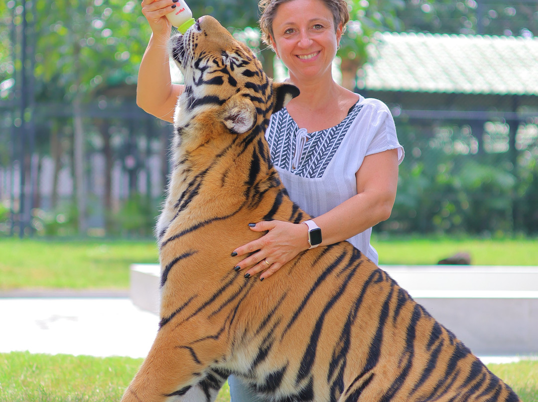 Tiger World Thailand-丹能沙都必去景点
