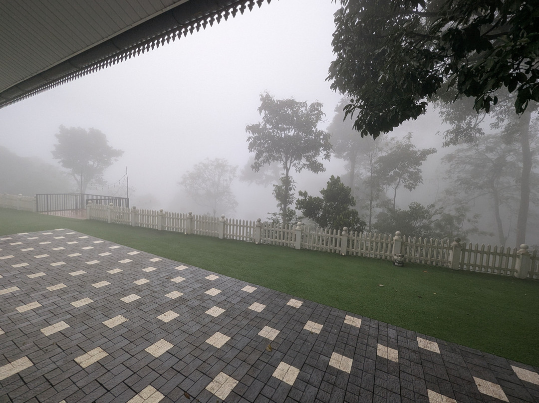 31st December Farms & Estates Munnar主图