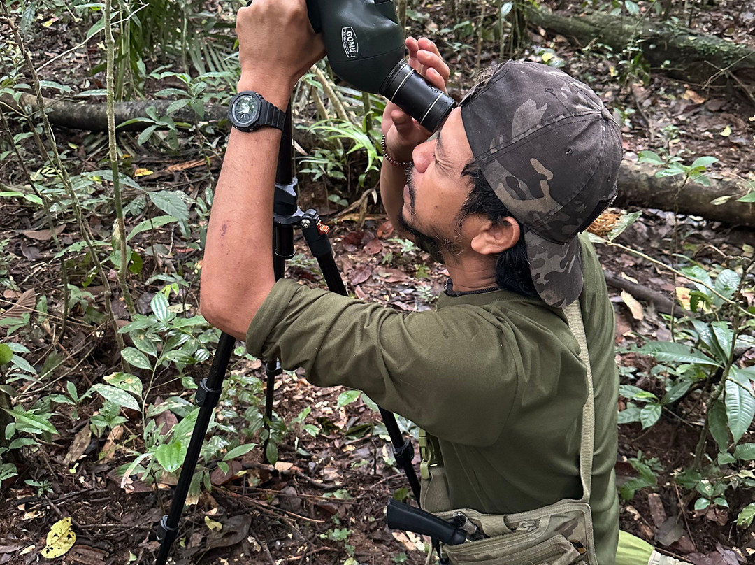 Khoa Yai and Beyond-考艾国家公园必去景点