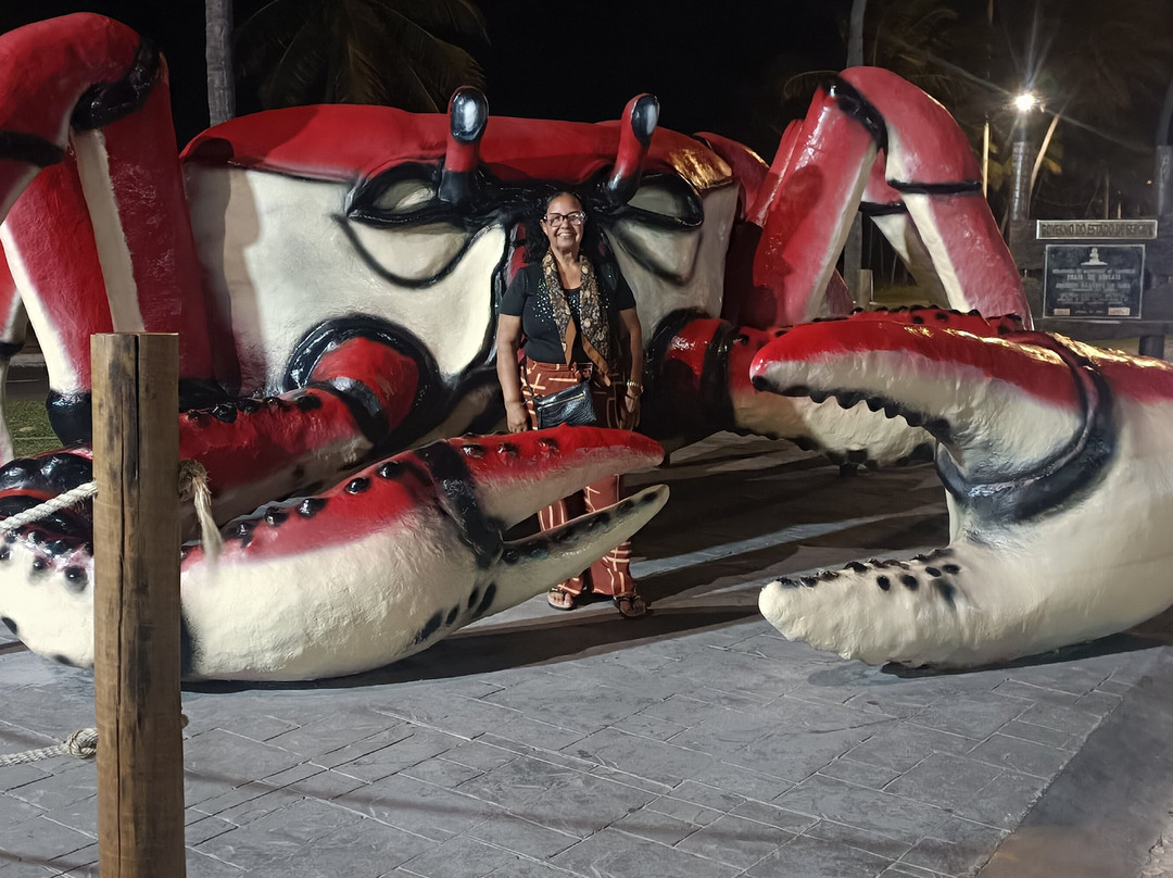 Passarela do Caranguejo-阿拉卡茹必去景点