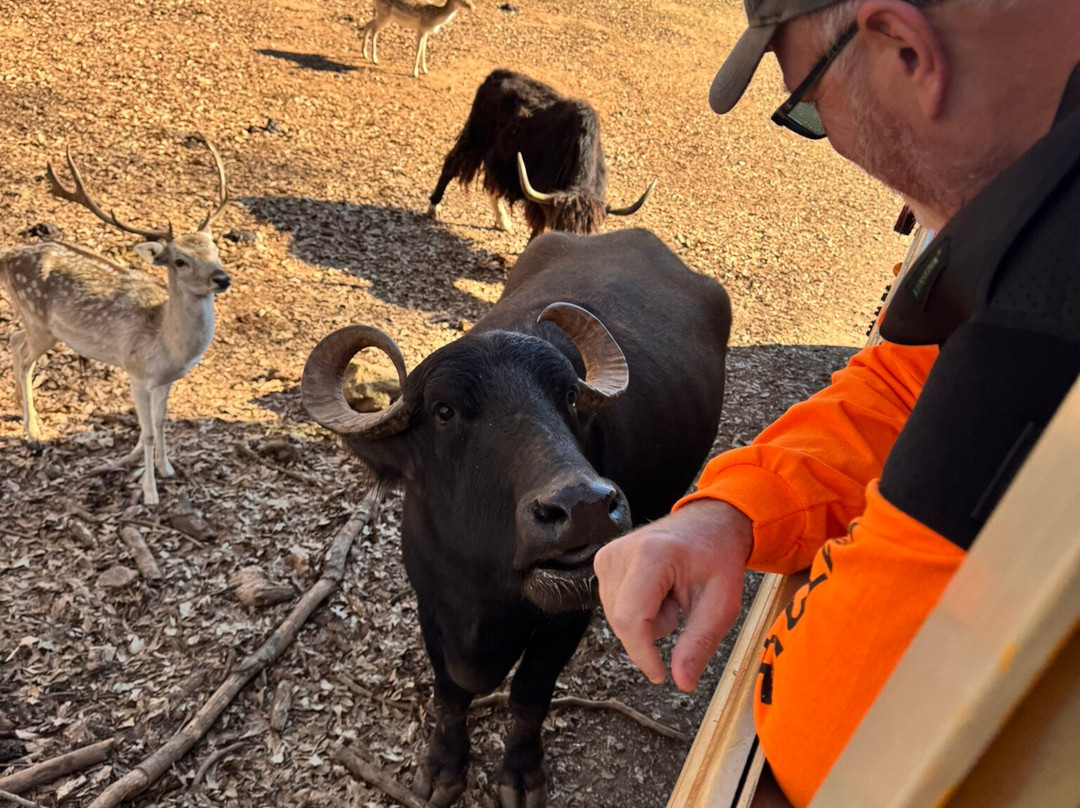 Lake Hartwell Wildlife Safari-Hartwell必去景点