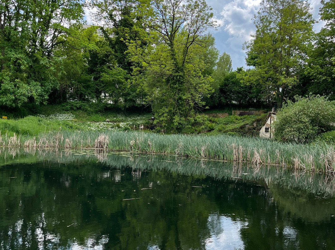 Jardin Botanique Jean-Marie Pelt-Villers-les-Nancy必去景点