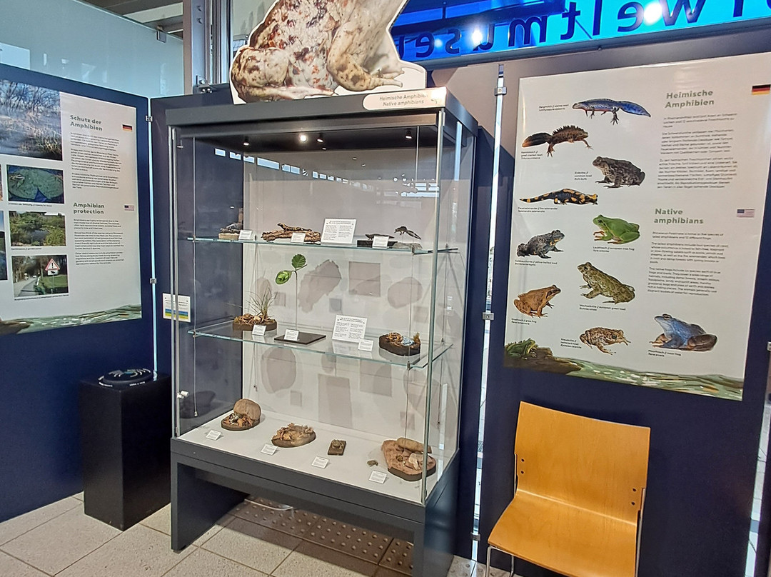 Burg Lichtenberg-Thallichtenberg必去景点