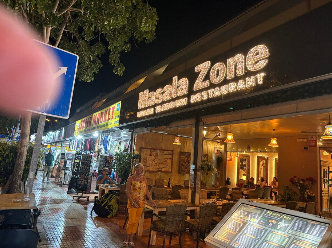 Masala Zone Indian Tandoori Restaurant