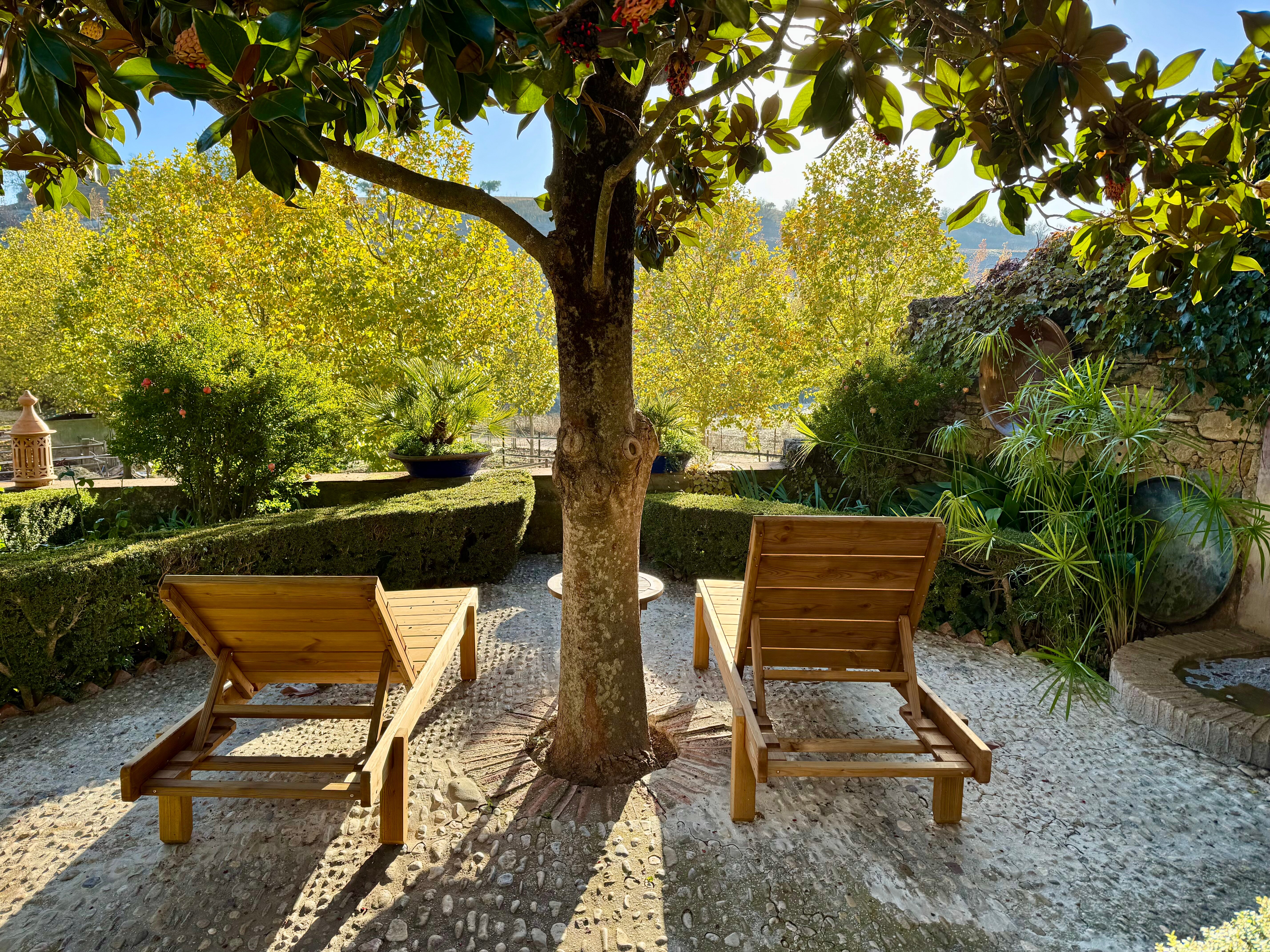 阿拉维拉德洛斯巴诺斯酒店-官方