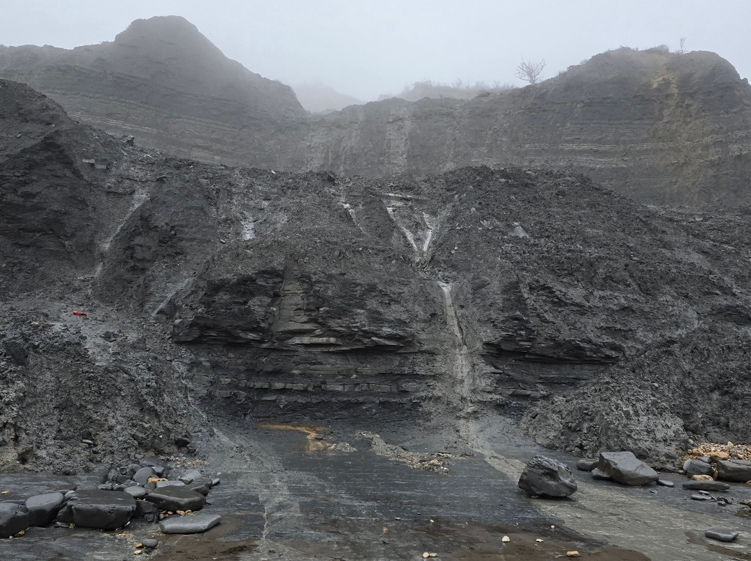Charmouth Beach-Charmouth必去景点