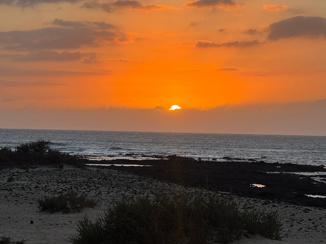 Esmeralda Cotillo  Homes主图